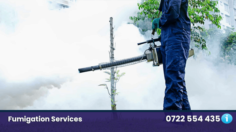 fumigation services nairobi kenya