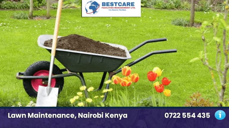 lawn care nairobi kenya lawn maintenance land scaping services