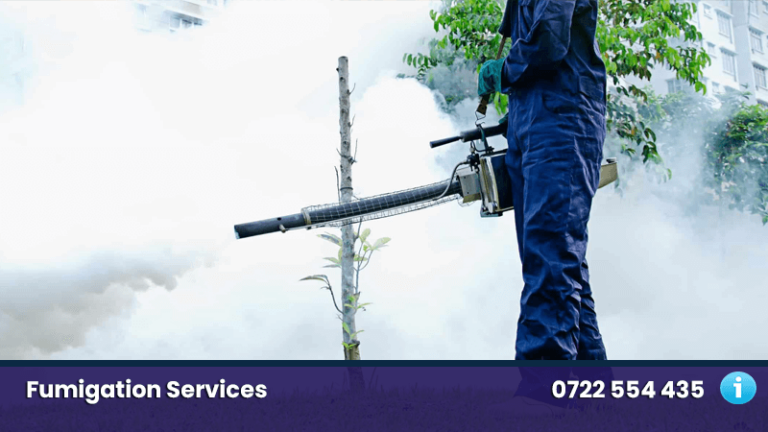 Reliable Pest Control Service in Nairobi, Kenya fumigation nairobi kenya experts