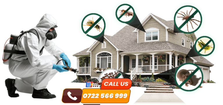 DIY Pest Control Methods vs. Professional Pest Control Methods 0 pest control service nairobi kenya
