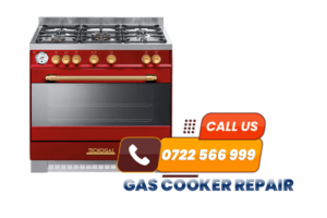 GAS-COOKER-REPAIR-NAIROBI-MOMBASA-KENYA
