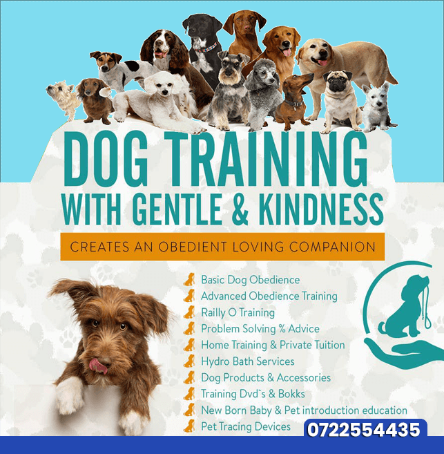 Are you looking for reliable Dog Training and Grooming in Nairobi? Are you looking for reliable Dog Training and Grooming in Nairobi?