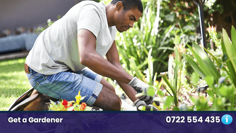 Do you need reliable Plumbing Maintenance and Repairs in Nairobi? Do you need reliable Plumbing Maintenance and Repairs in Nairobi? gardening services nairobi kenya gardener 1
